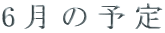 6̗\